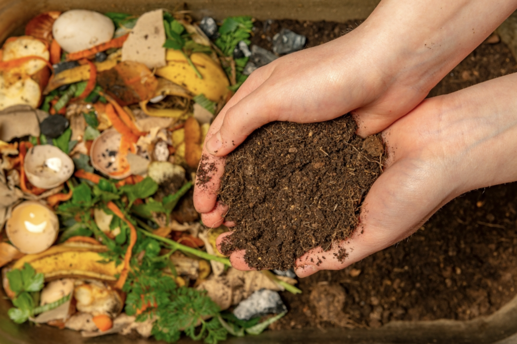 Humic Hữu Cơ loại nào tốt? TTP Global mời bạn khám phá