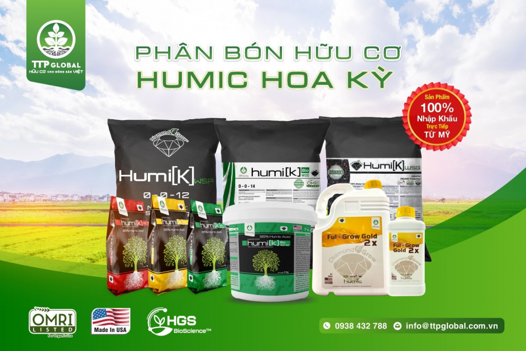 Quy trình sản xuất Phân Bón Hữu Cơ chi tiết, dễ áp dụng