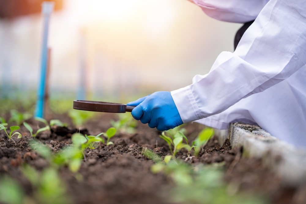 Quy trình sản xuất Phân Bón Hữu Cơ chi tiết, dễ áp dụng